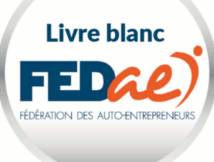 Propositions de la FedAE pour le régime auto entrepreneur 2017